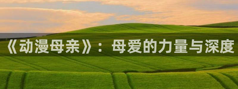 哈哩哈哩网站官网