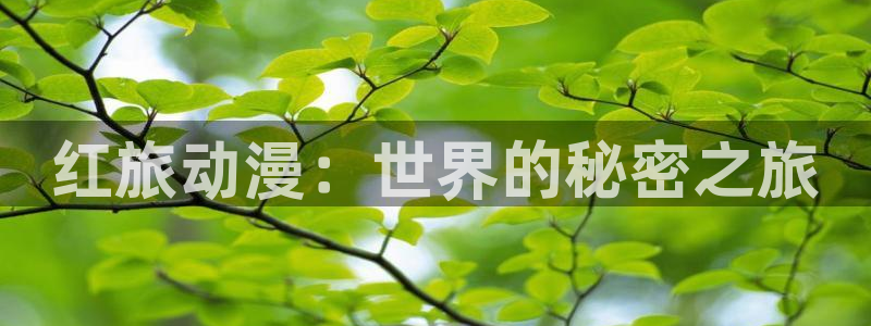 哈哩哈哩官网_halihali入口