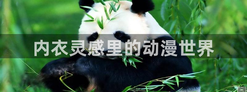 哈哩哈哩官网halihali8