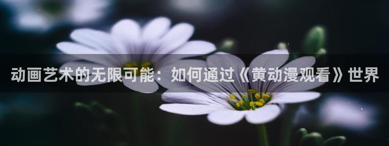 哈哩哈哩动漫官网在线观看：动画艺术的无限可能：如何通过《黄动漫观看》世界