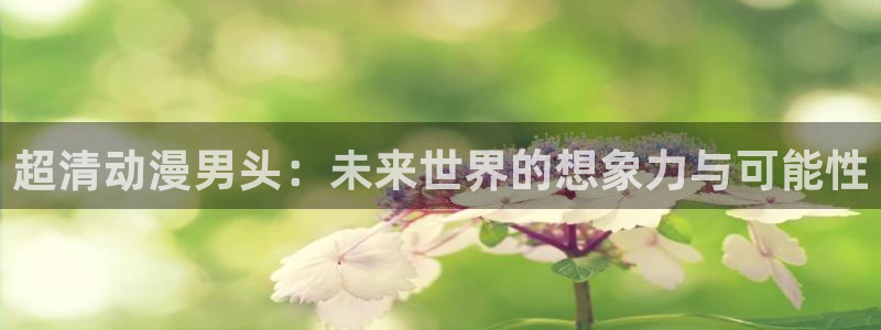 哈哩哈哩官网halihali2：超清动漫男头：未来世界的想象力与可能性
